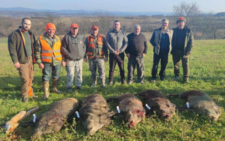 Uspela hajka na divlje svinje u Troponju kod Svilajnca