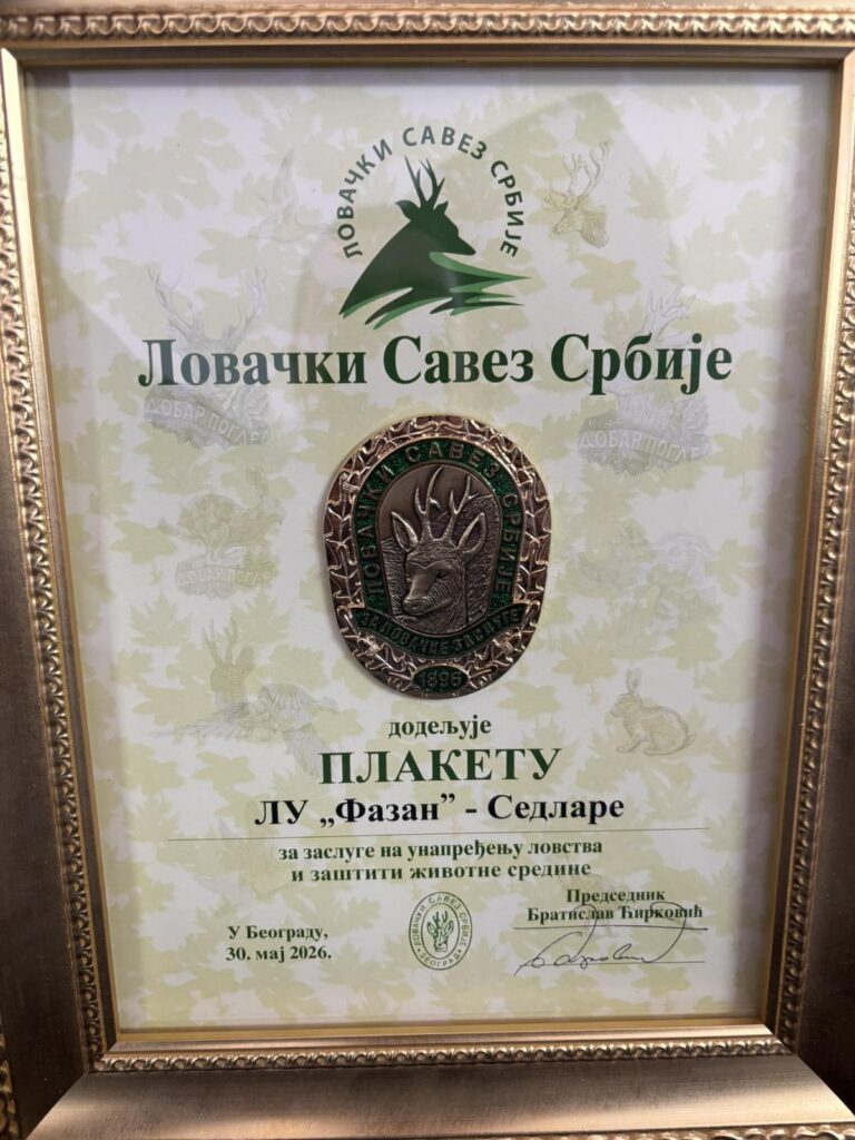 L.U "Fazana" Sedlare